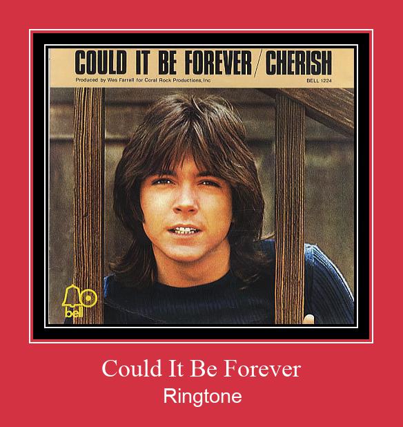 Could It Be Forever Ringetone Download GRATIS.