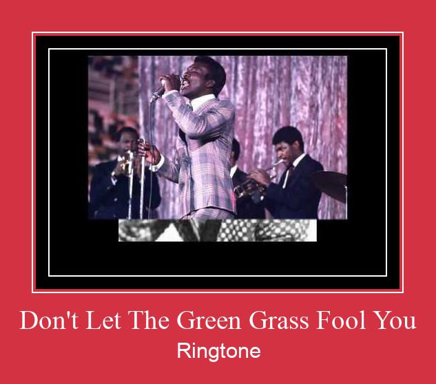 Don't Let The Green Grass Fool You Ringtone Download Proste.