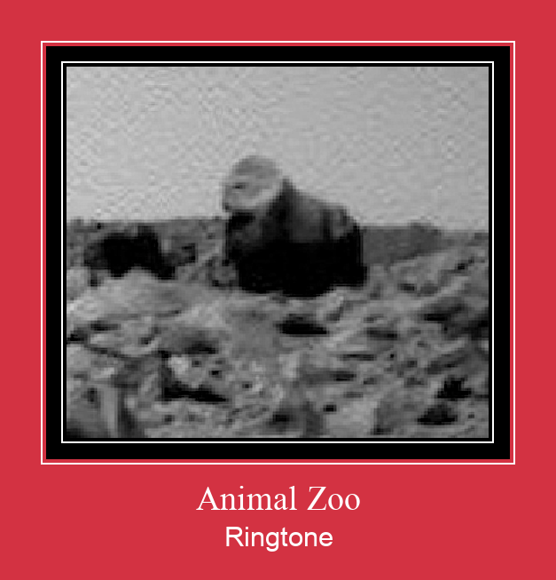Animal Zoo צלצול הורד חינם
