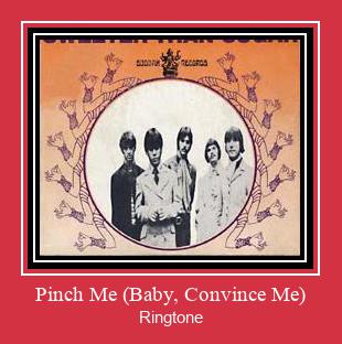 Pinch Me (Baby, Convince Me) Ringtone Download pulsuz