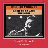 Born To Be Wild zvana signāls