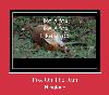 Fox On The Run 着信音