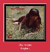 The Worm zvona