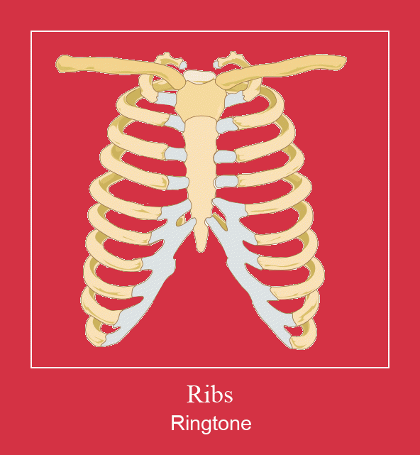 Ribs Ringtone Download Free