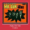 Please Mr. Sun Ringtone.
