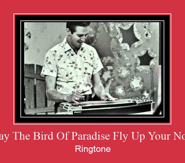 May The Bird Of Paradise Fly Up Your Nose Nhạc chuông tải miễn phí