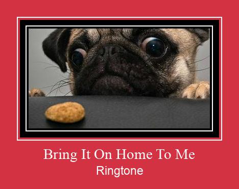Bring It On Home To Me Ringtone Download Free