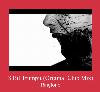 8 Bit Trumpit (Original Club Mix) рингтон