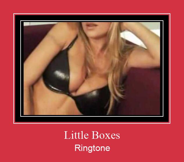 Little Boxes ringtone دانلود رایگان