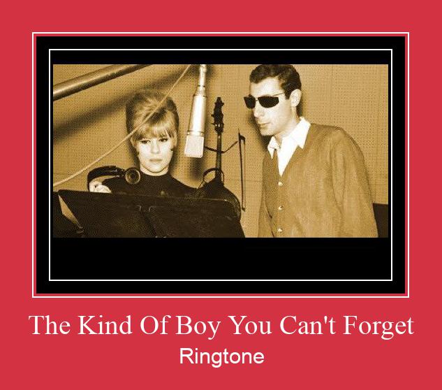 The Kind Of Boy You Can't Forget Ringtone Download pulsuz