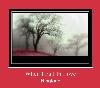 When I Fall In Love רינגטון