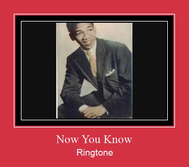 Now You Know Ringtone تنزيل مجاني