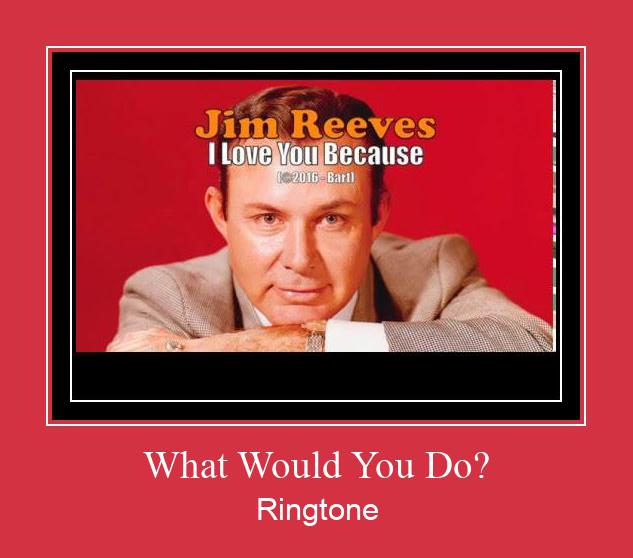 What Would You Do? Ringtone Download Proste.