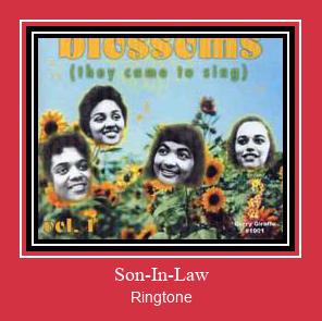 Son-In-Law Ringtone Download pulsuz