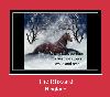 The Blizzard ton de apel