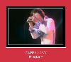 Puppy Love ringsignal