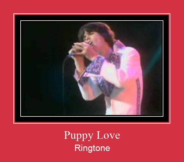 Puppy Love ರಿಂಗ್ಟೋನ್ ಡೌನ್ಲೋಡ್ ಉಚಿತ