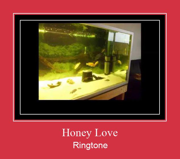 Honey Love Nada Dering Unduh gratis