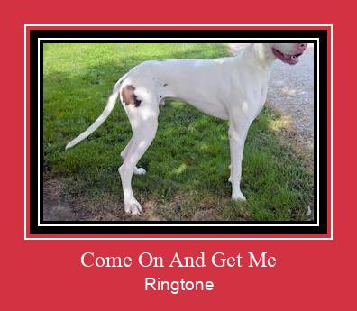 Come On And Get Me Ringtone Download Proste.
