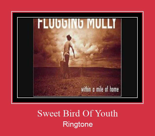 Sweet Bird Of Youth 벨소리 다운로드 무료