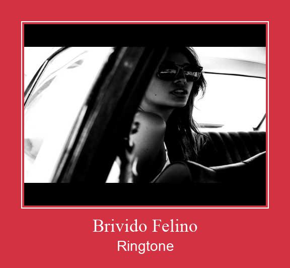 Brivido Felino 着信音を無料でダウンロード