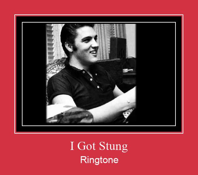 I Got Stung 벨소리 다운로드 무료