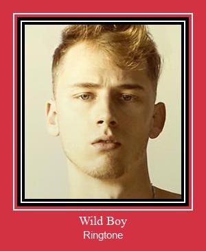 Wild Boy Ringtone Download pulsuz