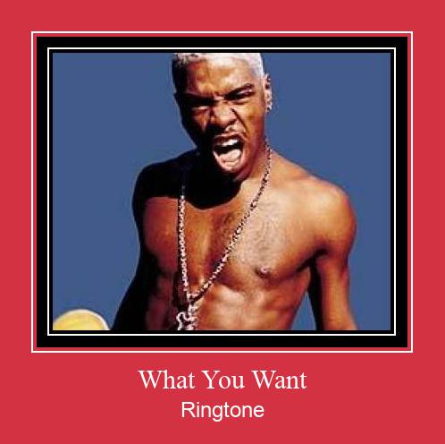 What You Want Ringtone Завантажити безкоштовно