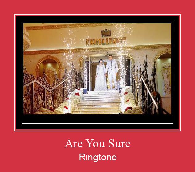 Are You Sure Ringtone atsisiųsti nemokamai