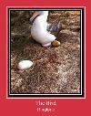 The Bird tono de llamada