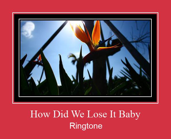 How Did We Lose It Baby צלצול הורד חינם