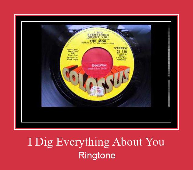 I Dig Everything About You Ringtone Download Proste.