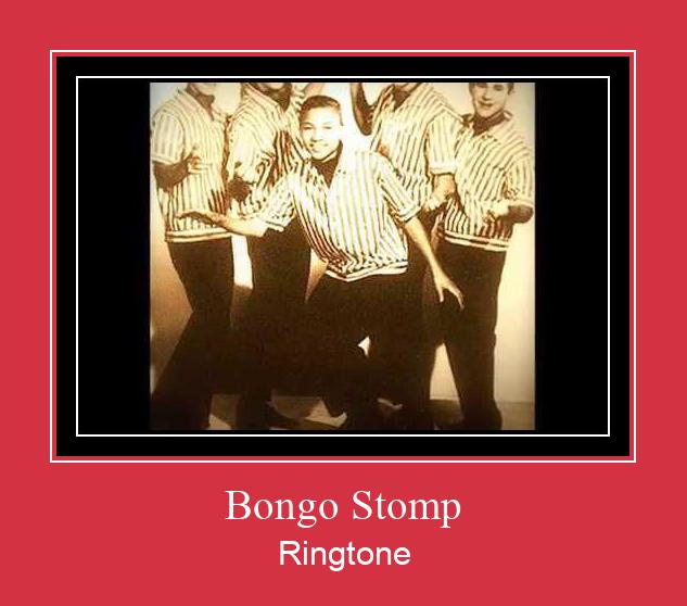 Bongo Stomp Suoneria Download gratuito.