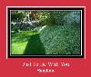 Just To Be With You Nhạc chuông