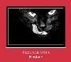 Black Cat Smile zvona
