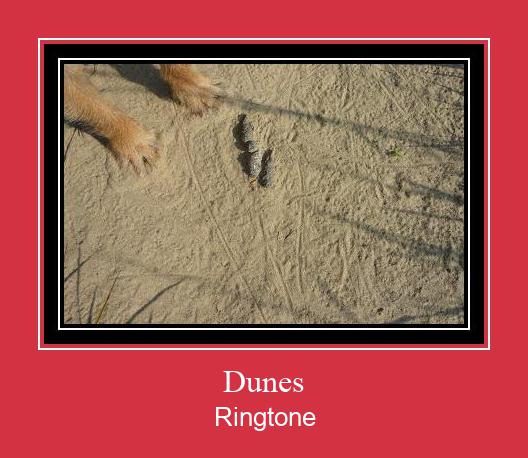 Dunes ரிங்டோன் பதிவிறக்க இலவச