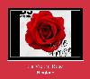 La Vie En Rose рингтон