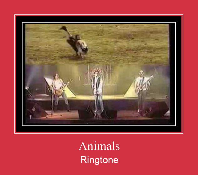 Animals রিংটোন বিনামূল্যে ডাউনলোড করুন