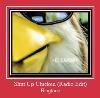 Shut Up Chicken (Radio Edit) Klingelton