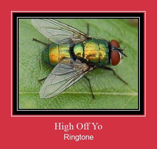 High Off Yo Suoneria Download gratuito.