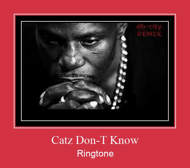 Catz Don-T Know Klingelton kostenlos downloaden.