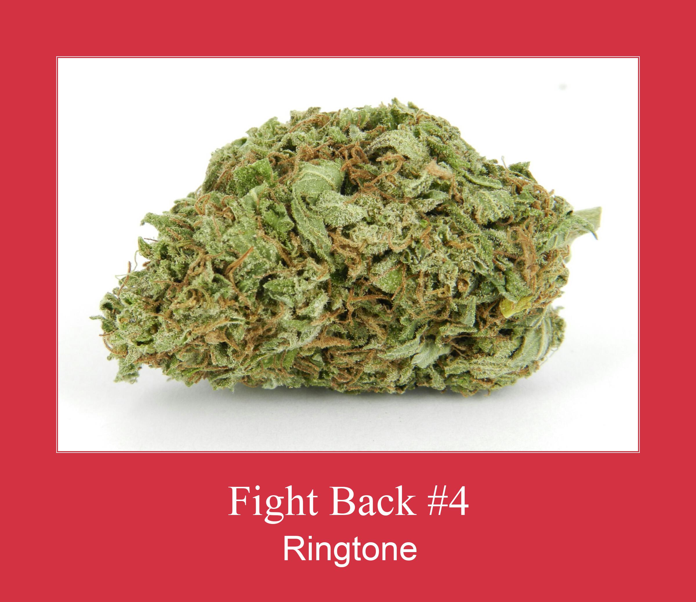 Fight Back #4  ರಿಂಗ್ಟೋನ್ ಡೌನ್ಲೋಡ್ ಉಚಿತ