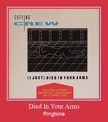 Died In Your Arms 벨소리 다운로드 무료
