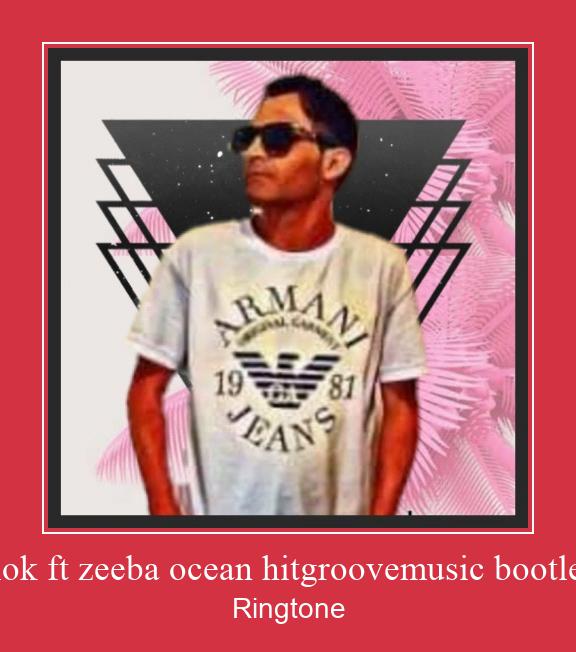 Alok Ft Zeeba Ocean Hitgroovemusic Bootleg Vyzvánění ke stažení zdarma