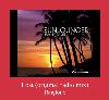 Lost (original Radio Mix) Ringtone.