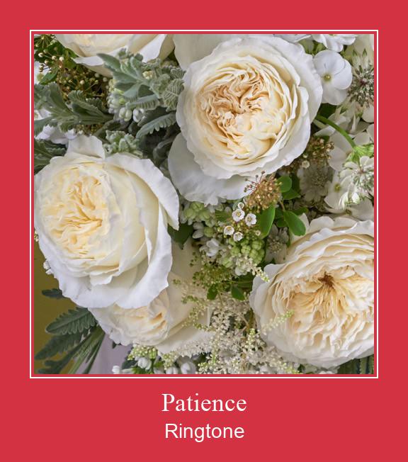 Patience Ringtone Download Free