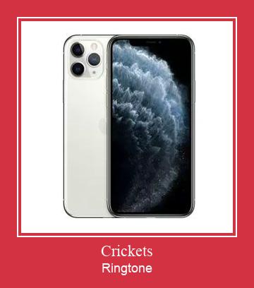 Crickets Suoneria Download gratuito.