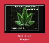 Still D.R.E zvona