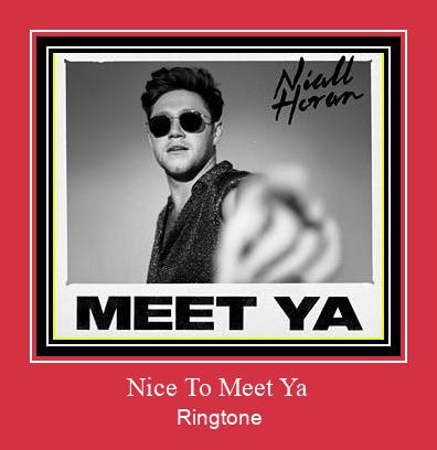 Nice To Meet Ya Vyzvánění ke stažení zdarma