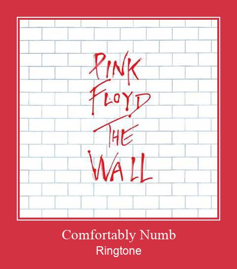 Comfortably Numb ರಿಂಗ್ಟೋನ್ ಡೌನ್ಲೋಡ್ ಉಚಿತ